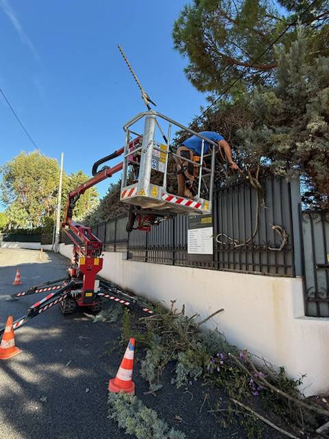 Nacelle elevatrice 16 mètres de hauteur de travail (3)